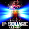 AlingoPSquare100x100