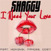 shaggyNeedlove100x100